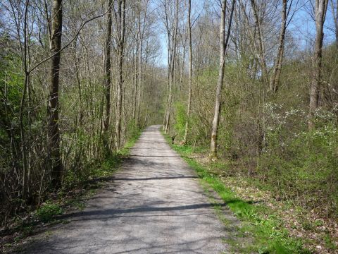 Anschluss Sdzucker AG