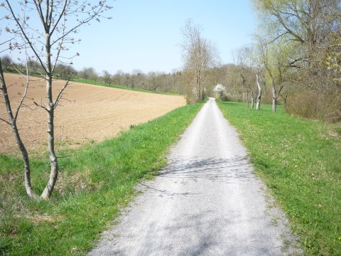 Zwischen Ilsfeld und Schozach