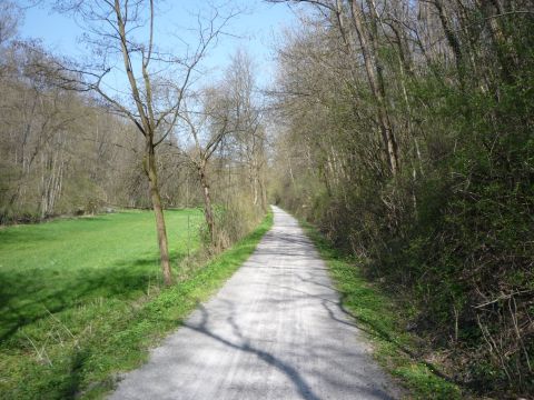 Zwischen Ilsfeld und Schozach