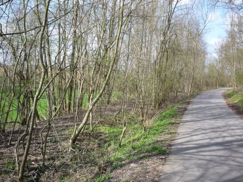 Zwischen Rauher Stich und Sontheim