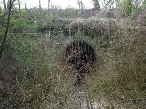 Nordportal des Lerchenbergtunnels
