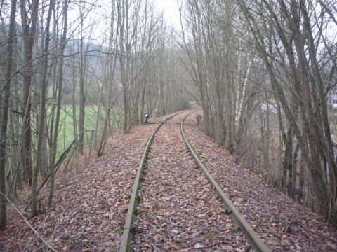 Brcke ber den Muckbach