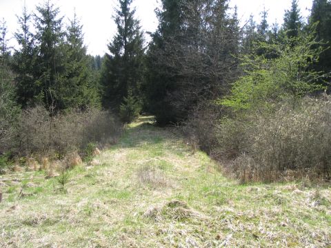 Zwischen B�renloh und Dossingen