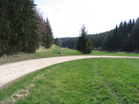 Bahnhof Br�nstholz