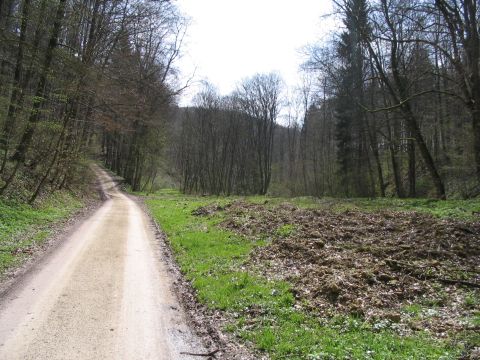 Bahnhof Waldhausen-Glash�tte