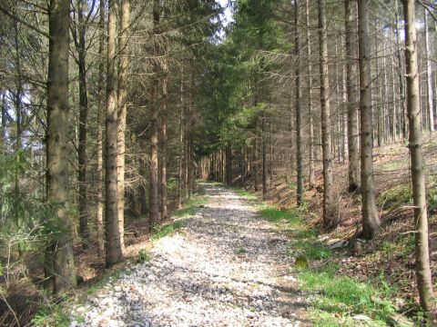 Zwischen Elchingen und B�renloh