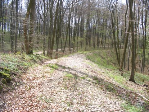 Bahnhof Waldhausen-Glash�tte und H�llhau