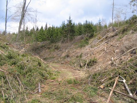 Bahnhof Waldhausen-Glash�tte und H�llhau