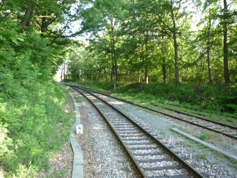 Abzweig Sch�naicher First