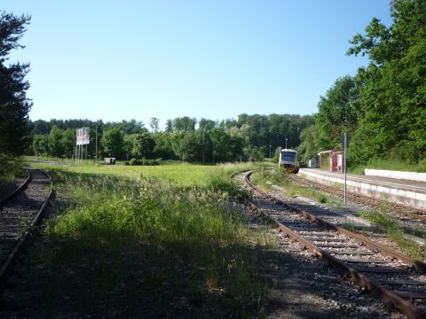 Abzweig Sch�naicher First