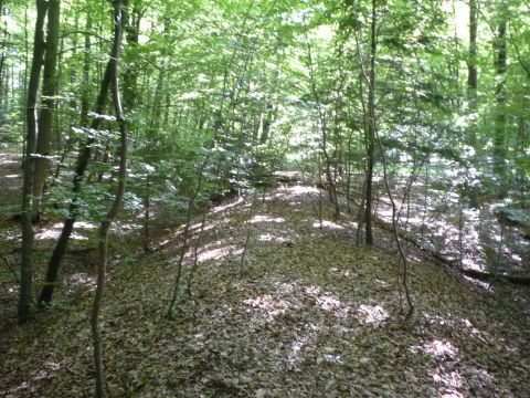 Zwischen Sch�naicher First und Sch�naich