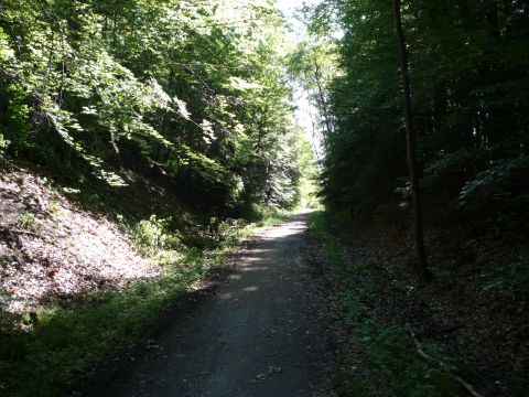 Zwischen Sch�naicher First und Sch�naich