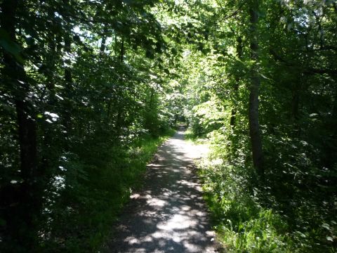 Zwischen Sch�naicher First und Sch�naich