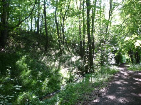 Zwischen Sch�naicher First und Sch�naich