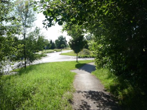 Zwischen Sch�naicher First und Sch�naich