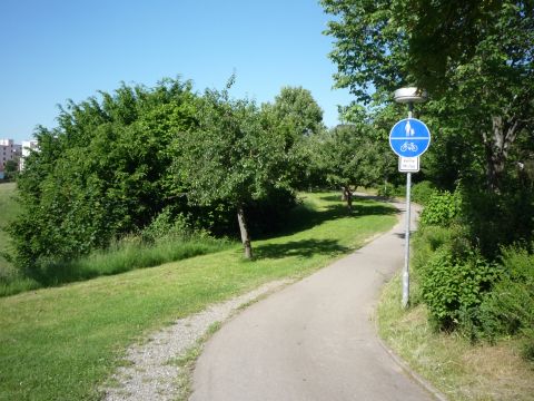 Zwischen Sch�naicher First und Sch�naich