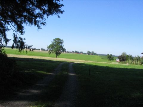 Ausfahrt aus dem Wald bei Kronburg
