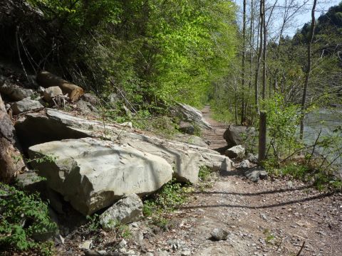 Zwischen Kennelbach und Fluh