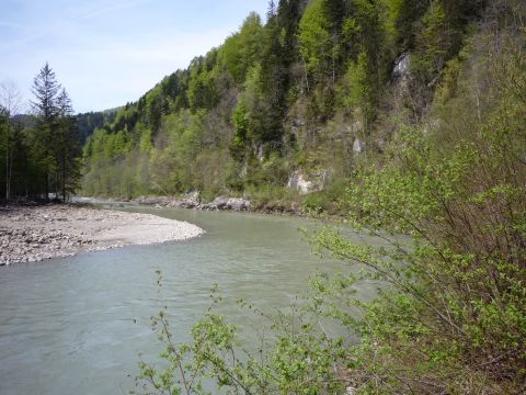 Zwischen Langen-Buch und Rotachtunnel