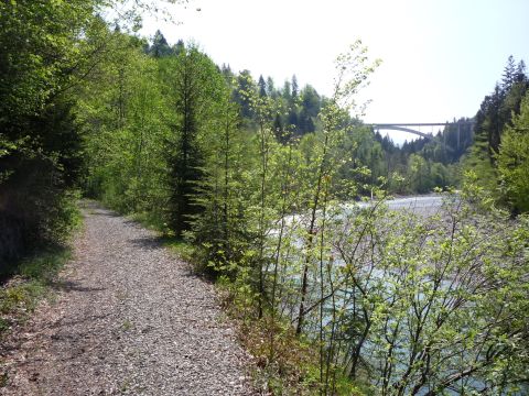 Zwischen Oberlangenegg und Lingenau-Hittisau