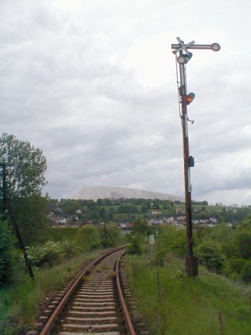 Signal