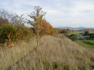 Bahnsteig Niederbieber