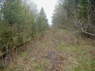 Haltepunkt mit Bahnsteig, Blick in Richtung Hilders