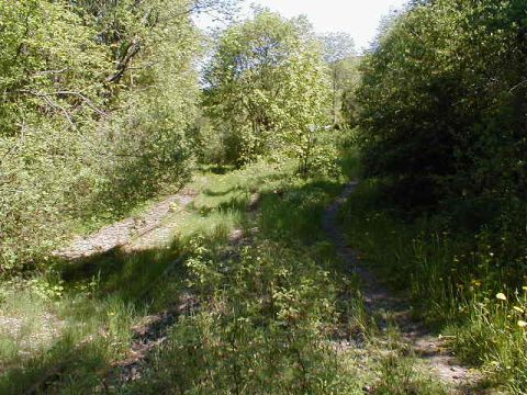 Ehemalige Zufahrt zum Stumpfgleis