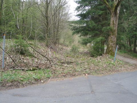 Abzweig Fabrik Oberwald