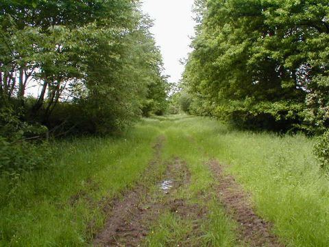 Haltepunkt Friemen-Mckelsdorf