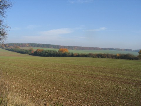 Zwischen Bischofferode und St�ckey