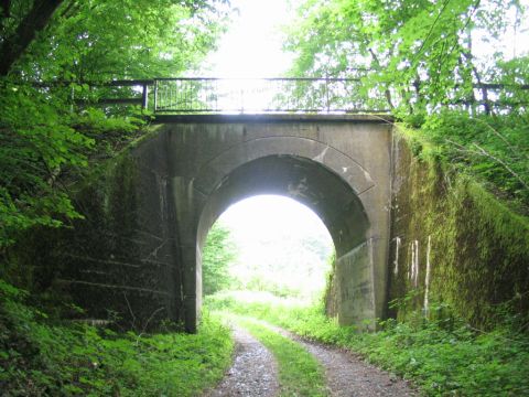 Brcke im Wald zwischen Rhumspringe und Phlde