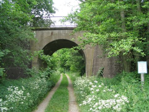 Brcke im Wald zwischen Rhumspringe und Phlde