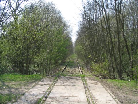 Zufahrt nach Kindel