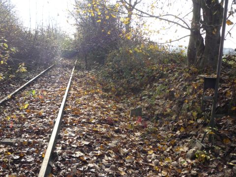 Zwischen Offenbach und Herxheim