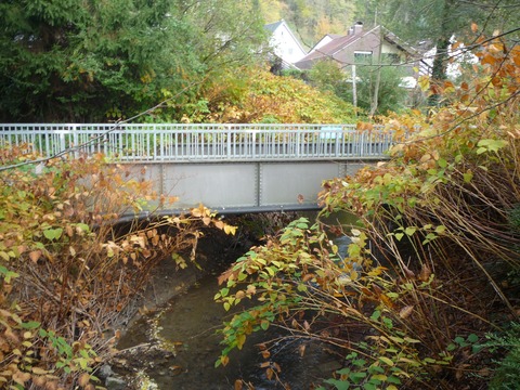 Brcke ber den Waldangelbach