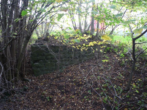 Brcke ber den Waldangelbach