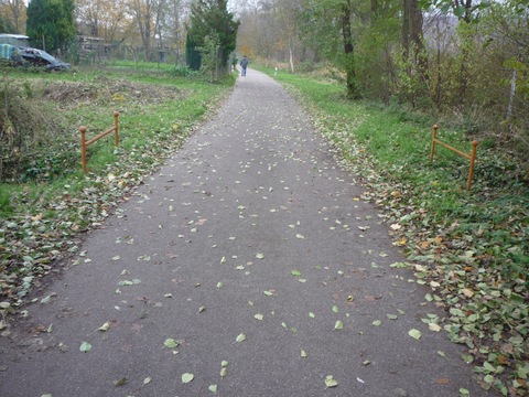 Zwischen Dielheim und Horrenberg