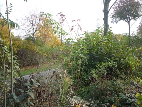 Alte Weiterfahrt mach Wiesloch Stadt