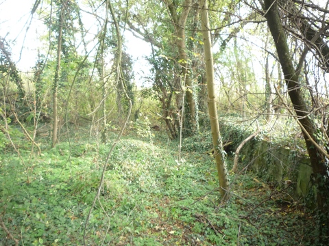 Anschluss K�lberer