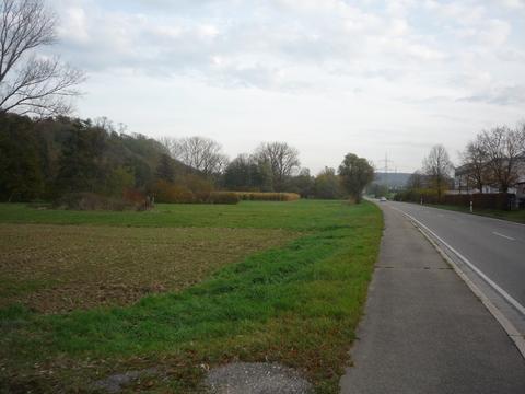 Zwischen Michelfeld und Waldangelloch 