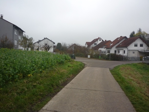 Zwischen Schatthausen und Meckesheim