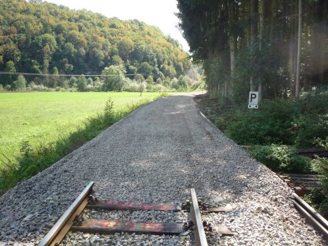 Gleisende Trillfingen