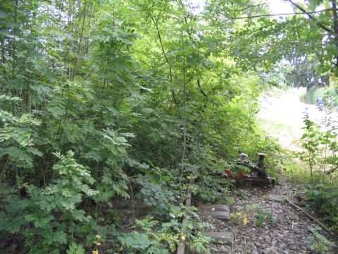 Abzweig Spedition Hasenauer