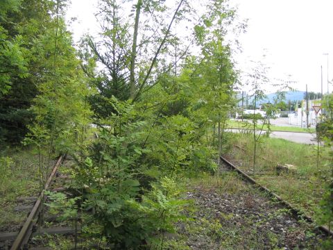 Zufahrt Spedition Hasenauer