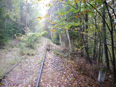 Abzweig zum Steinbruch Welzberg