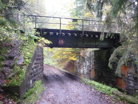 Brcke ber einen Forstweg und den Tlesbach