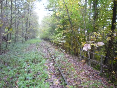 Bachbrcke am Welzberg