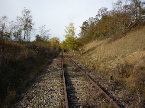 Zwischen Schafhausen und der Brcke ber die L 1189