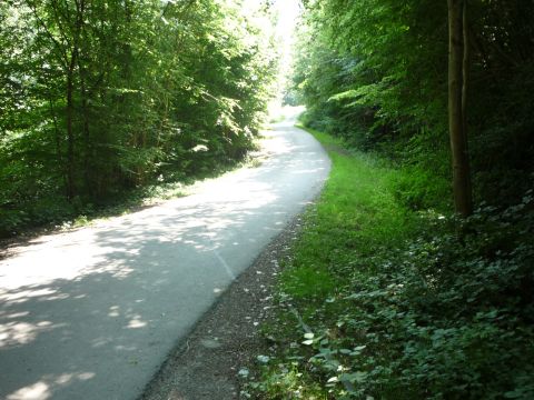 Zwischen Bieringen und Westernhausen